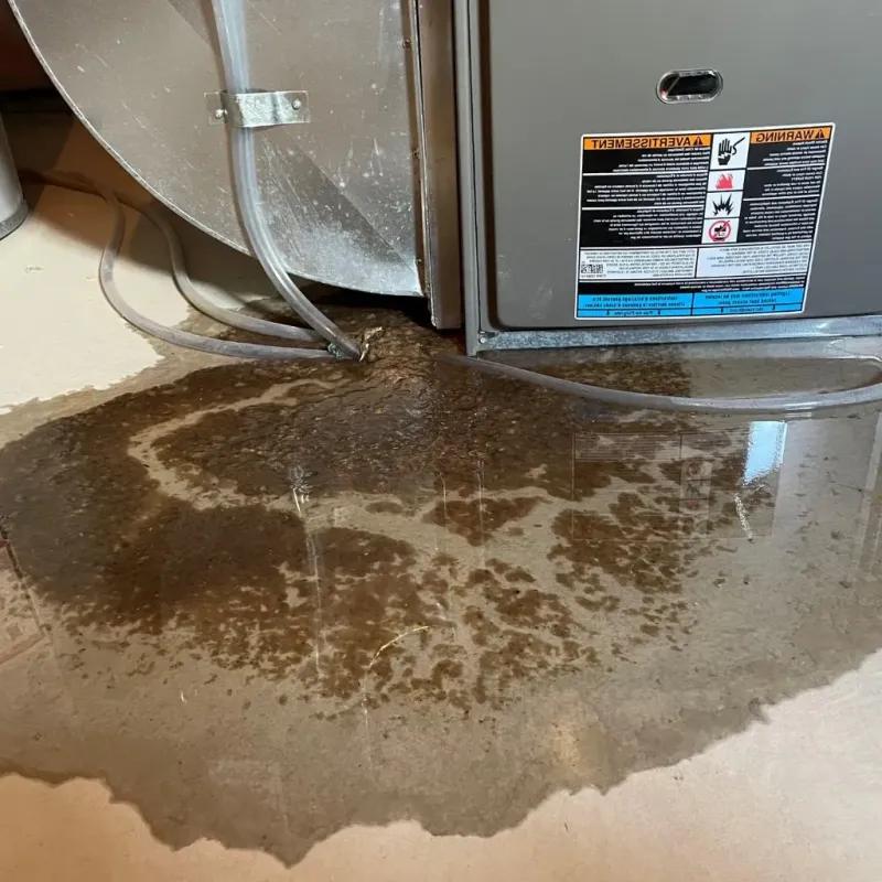 Pipe Burst and Leak Restoration in Cordell, OK